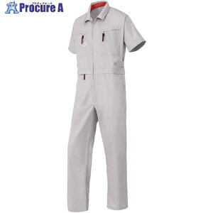 AUTO-BI SS(t)f ꎮȂ6901-008Vo[O[-5L 6901-008-5L 1 137-1145 ysxρz