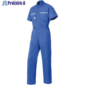 AUTO-BI SS(t)f Ȃ6801-004XJCu[-5L 6801-004-5L 1 137-1185 ysxρz