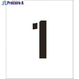 O[NX tv[g XeV 100 1 1118201001 1 145-5933 lls