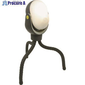 RITEX �ǂ��ł��Z���T�[���C�g300 ASL-097 1�� ��160-9950