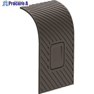 GoPro yؔpԁz EFAuJpIvV Fusion vCXghA ASIOD-001 1 161-2447