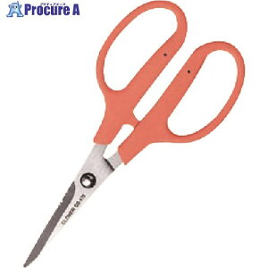 CLOVER �N���t�g�͂��� 175 36-656 5�� ����166-1664 �y�����s�x���ρz