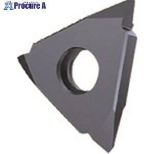 GUHRING aH CT[g Oa˂؂ 炢nȂ [g˂p TiCNR[g GG305.TM00.300.AA.04.R 25656 12.070 2{ 180-9227 ysxρz