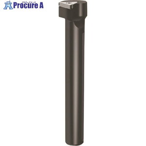GUHRING �a����H�� �ۃV�����N�z���_�E���a���H�p �O������ ���M����- GB305.0025.170.90.12.R 25368 12.011 1�{ ����182-3264 �y�����s�x���ρz