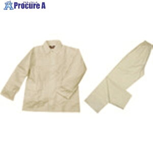 TGK GT�g�b�v���C�g FS600 BL �x�[�W�� 795-87-04-87 1�� ����185-0538 �y�����s�x���ρz