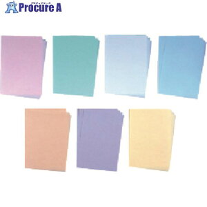 TGK �X�^�N�������o��PPC�s���NA4 10�� 339-25-20-24 1�� ����190-5541 �y�����s�x���ρz