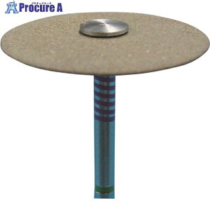 ASt@C _CXg[zC[ DCA2021 1{ 198-2274 ysxρz