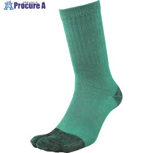  #4033-4P-L LT|[^[\bNXwt J[ 4033-4P-L 1g 200-2495 ysxρz