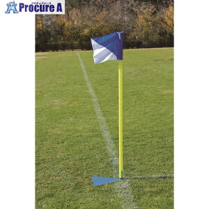 g[GCCg R[i[tbOX^h404(4{1g) B6369 1S 208-1262 ysxρz