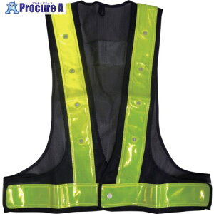 ~YPC LEDSxXg(nE) 5916505 1 208-5655