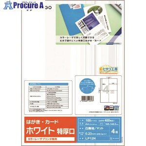 HISAGO J[[Uv^p ͂EJ[h 4/zCg  LP12N 1pbN 214-7178 ysxρz