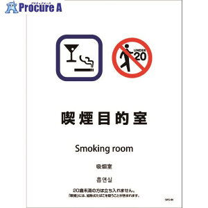 O[NX iݔXebJ[ ǖʏʗp 4^Cv SWS-06 iړI 1146551606 1 215-0110 lls