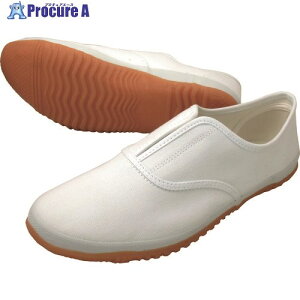 쑽 낤 DK500 zCg 27.0 DK500-WH-27.0 1 216-9647