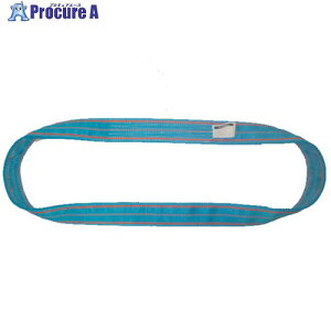 TESAC �u���[�X�����O(JIS3�����E�G���h���X�`)�׏d20.0t�S��2.0m 3N300X2 1�{ ����218-5700