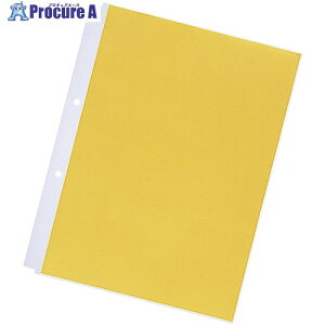 LIHIT �N�����[�|�P�b�g(������) (10������) A4-2�� N2101 1�g ����226-6492 �y�����s�x���ρz