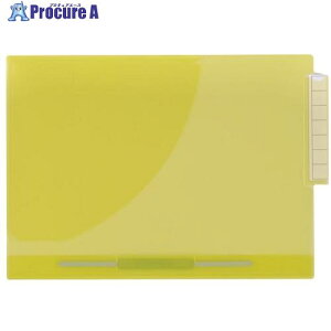 LIHIT J[JetH_[ t@Xi[t (50) CG[O[ A4 HK732U-17 1 228-5362 ysxρz