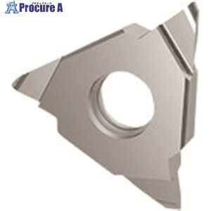 GUHRING �a����H�� �C���T�[�g �[�ʃt��R�a���� GA305.0150.075.AA.04.R 25638 12.001 2�{ ����233-6993 �y�����s�x���ρz