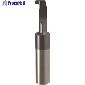 GUHRING �a����H�� �C���T�[�g ���a�a������H�p nanoA�R�[�g GE106.0200.000.22.50.R 25874 6.230 1�{ ����234-0230 �y�����s�x���ρz