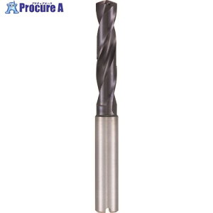 GUHRING ���d�X�e�����X�p�h����3×D�p nanoA�R�[�g 16.3mm 8510 16.300 1�{ ����234-6694 �y�����s�x���ρz