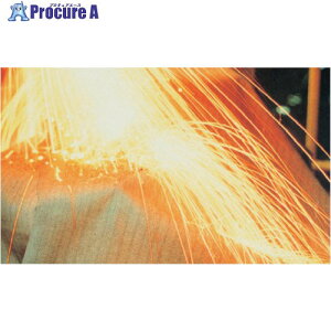 �O���[���N���X �X�p�b�^�V�[�gAS200S 1MX30M 1138400101 1�� ����238-1818 ���l��l����s��