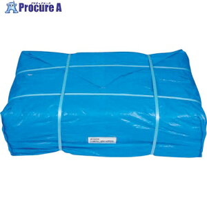 �O���[���N���X �u���[�V�[�g#2000 10M×10M 1138031104 1�� ����238-1875 ���l��l����s��