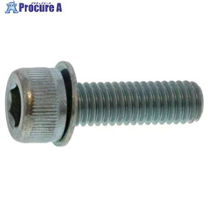 SUNCO OubN 10.9CAP PK1 6 X 20 (300{) A0-00-9070-0060-0200-04 1 241-0455 ysxρz