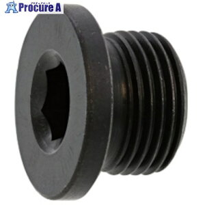 SUNCO NStWvO G 1/8 (400{) A0-00-5750-8010-0000-00 1 241-6658 ysxρz