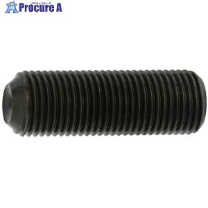 SUNCO HS�N�{�~�� �זڃs�b�`1.0 10×20 (200�{��) A0-00-5006-0100-0200-00 1�� ����241-8974 �y�����s�x���ρz