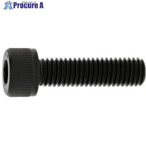 SUNCO ステンCAP(左ねじ 4×12 (100本入) A0-02-0020-0040-0120-00 1箱 ■▼242-0097 【送料都度見積】