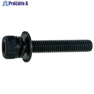 SUNCO OzCg WA-SP(P3 AXR 6 X 20 (500{) A0-00-903A-0060-0200-03 1 242-6207 ysxρz