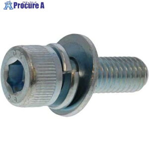 SUNCO XYRo 10.9CAP P3 SH 8×15 (100{) A0-00-903J-0080-0150-20 1 242-6692 ysxρz