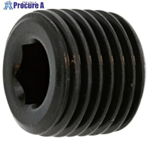 SUNCO �v���OA(���� PT 1�h1/2 (10�{��) A0-00-5700-8140-0000-00 1�� ����242-6745 �y�����s�x���ρz