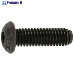 SUNCO SUS �{�^��CAP (UNC 1/4-20×5/8 (100�{��) A0-02-1030-8020-8050-00 1�� ����242-7939 �y�����s�x���ρz