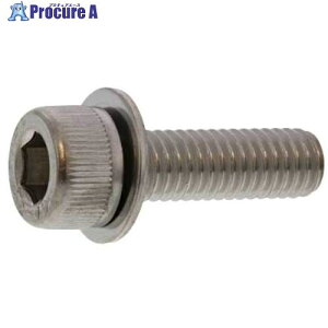 SUNCO BK ステンCAP P=1 6×12 (300本入) A0-02-9010-0060-0120-08 1箱 ■▼242-8233 【送料都度見積】
