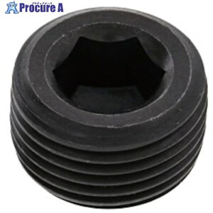 SUNCO vONB(͒ PT 1h1/2 (15{) A0-00-571N-8140-0000-00 1 242-8307 ysxρz