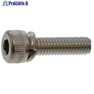 SUNCO ステンCAP P=2 8×25 (100本入) A0-02-9020-0080-0250-00 1箱 ■▼243-2899 【送料都度見積】