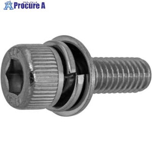 SUNCO ステンCAP P=3 岸和田ステンレス製 4×8 (1000本入) A0-02-903S-0040-0080-00 1箱 ■▼243-2924 【送料都度見積】