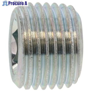 SUNCO BS e[p[vO  R1/8-28×7 (100{) A0-01-5710-8010-0000-00 1 243-4367 ysxρz