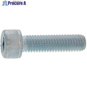 SUNCO �O���z���C�g CAP(TKS 6×55 (100�{��) A0-00-000T-0060-0550-03 1�� ����246-8821 �y�����s�x���ρz