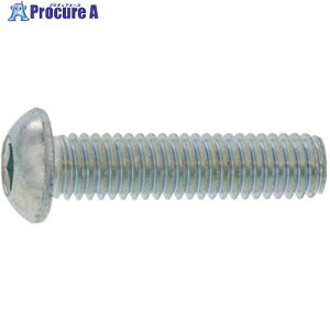 SUNCO 三価ホワイト ボタンCAP(日産ネジ JIS B 1174 6×18 (500本入) A0-00-100N-0060-0180-03 1箱 ■▼247-0703 【送料都度見積】