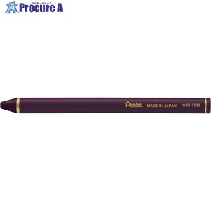 PENTEL ʃXeBbN~loCIbg GSS-T343 10 247-5360 ysxρz