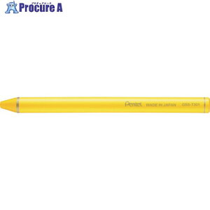 PENTEL ʃXeBbNCG[ GSS-T301 10 247-8482 ysxρz