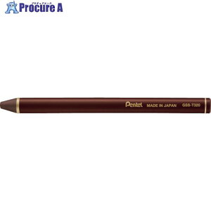 PENTEL ʃXeBbN_[NfBbVuE GSS-T320 10 247-8504 ysxρz
