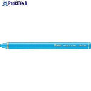 PENTEL ʃXeBbNCgu[ GSS-T304 10 248-0067 ysxρz