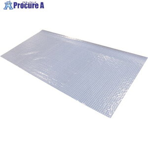 �e�n �����蓧���h���ϊ��V�[�g��205cm×����1m CSWS3205001IT 1�� ����249-8156 �y�����s�x���ρz