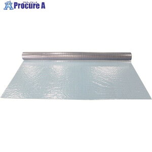 �e�n �����蓧���h���ϊ��V�[�g��205cm×����10m CSWS3205010IT 1�� ����249-8179 �y�����s�x���ρz���ԏ�n��
