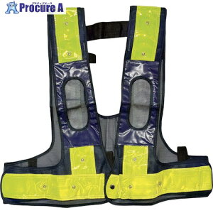 ~YPC tn[lXpLEDSxXg łł LOTCY / LED 5941162 1 250-4632