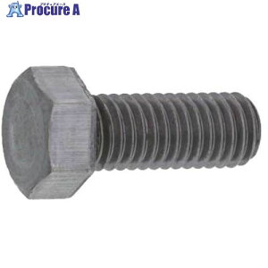 SUNCO ���`�Z�p�{���g �S�l�W ������ 8×20 (300�{��) B0-00-K500-0080-0200-00 1�� ����252-4168 �y�����s�x���ρz