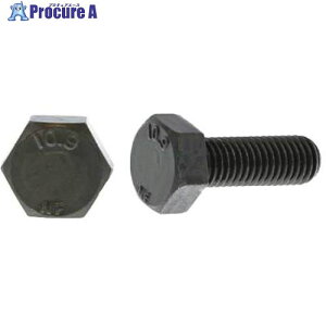 SUNCO �N�����[�g 10.9 �Z�p�{���g ���{�t�@�X�i�[�� 12X80X30 (40�{��) B0-00-F400-0120-0800-02 1�� ����255-1290 �y�����s�x���ρz