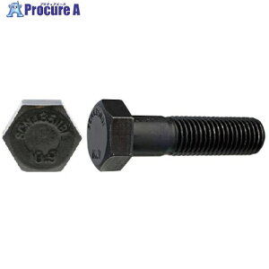 SUNCO �W�I���b�g 10.9 �Z�p�{���g NBI 20X80X46 (25�{��) B0-00-B400-0200-0800-55 1�� ����255-2759 �y�����s�x���ρz